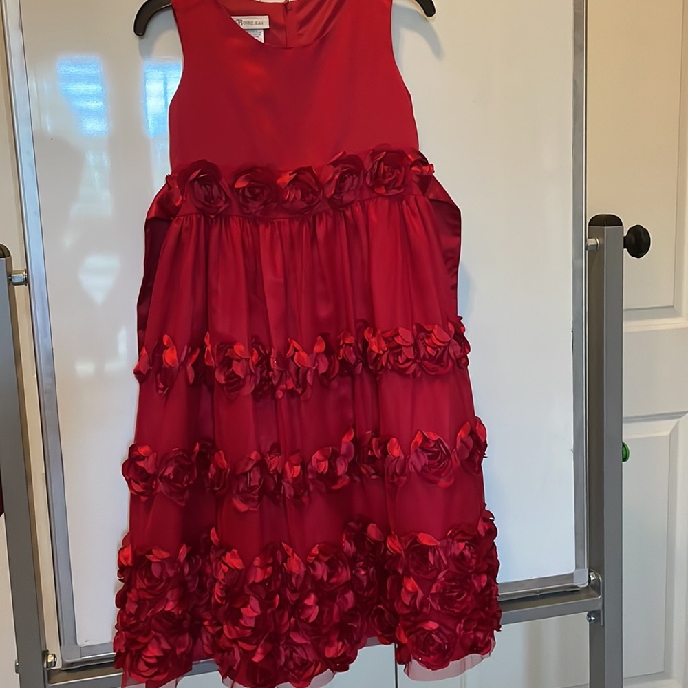 Stunning girls dress! Excellent condition
